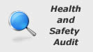 Health and Safety Audit Health and Safety Audit